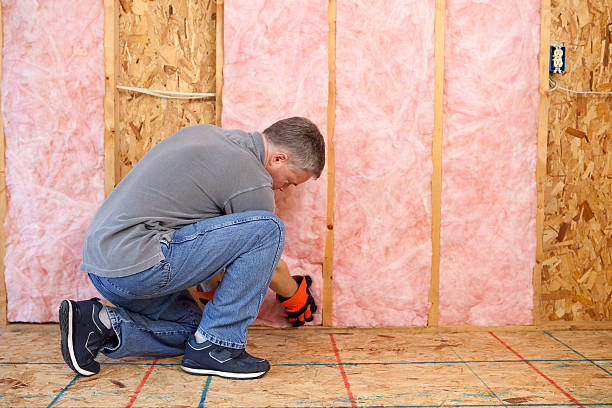 Types of Insulation We Offer in Southmayd, TX